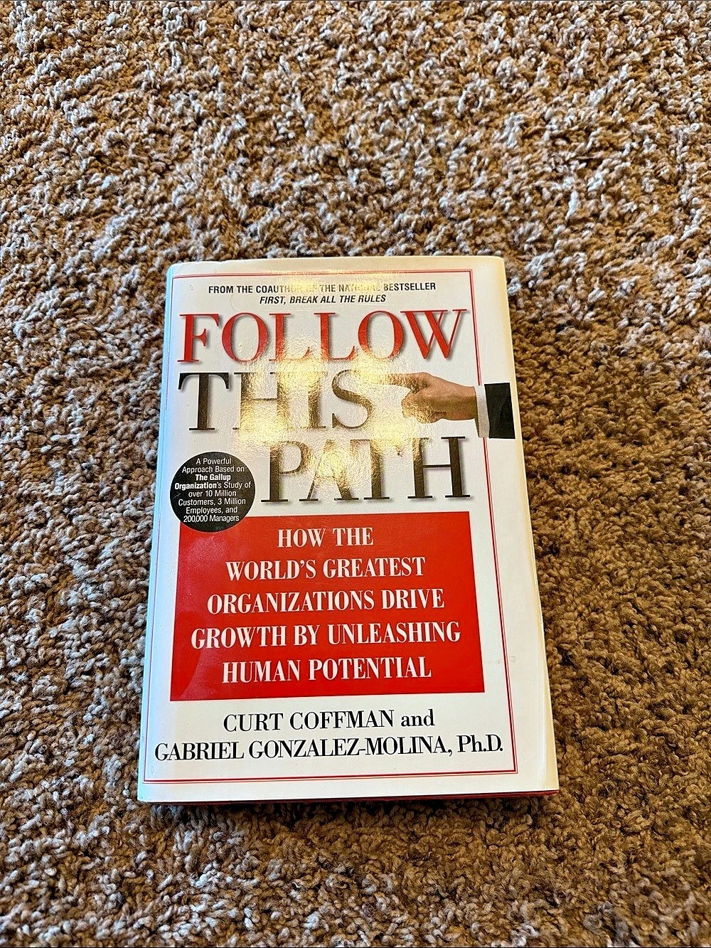 Warner Books Follow This Path: How the World's Greatest Organizations Drive